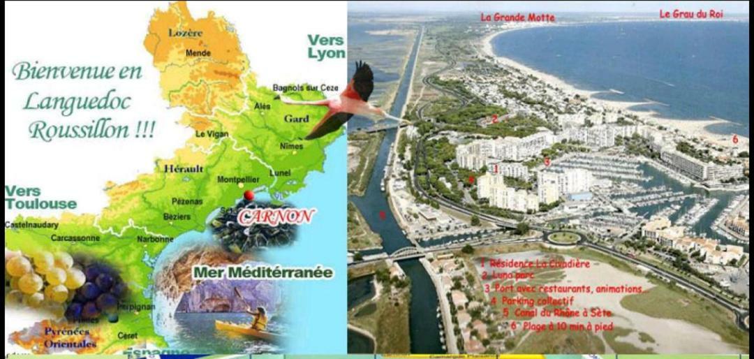 Suite-Junior -Villa Helene - Montpellier Sud - Aeroport- Piscine Privee-2Mn Des Plages Perols Ngoại thất bức ảnh